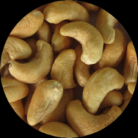 Cashew Nut