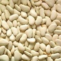  WHITE KIDNEY BEANS 