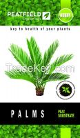 Peat substrate PEATFIELD "For palms"