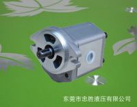 DEGB Series Hydraulic Oil Pump