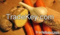 Fresh Ginger | Carrot And Fresh Garlic Clove