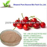 https://www.tradekey.com/product_view/10-1-Cherry-Extract-10-1-Cherry-Powder-10-1-Acerola-Cherry-Extract-5841104.html