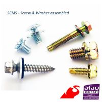 SEMS screw (screw+washer assembled)