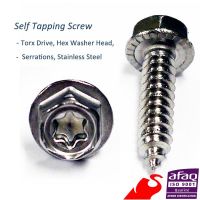 Self Tapping Screws (A2, Stainless)