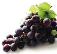 Grape Skin Extract