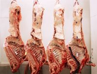 Frozen Beef Carcasses and Fore Quarter / Hind Quarter Cuts