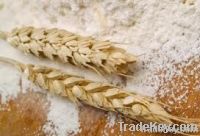 Wheat Flour Supplier| Wheat Flour Exporter | Wheat Flour Manufacturer | Wheat Flour Trader | Wheat Flour Buyer | Wheat Flour Importers | Import Wheat Flour 