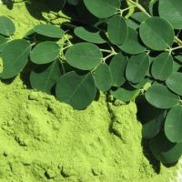 Moringa Oleifera leaves-Moringa Oleifera seeds-Moringa Oleifera leaf powder