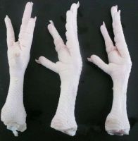 Frozen chicken feet