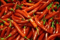 fresh chili