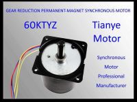 AC Synchronous Motor 60KTYZ Tianye Motors