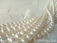 Japanese Akoya cultured pearls strands