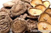 Best Dried Mushroom