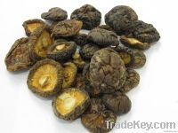 Dried Mushroom