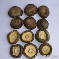 Chinese Dried Mushroom