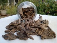 Wild Harvested Agarwood From Malaysia