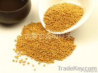 https://es.tradekey.com/product_view/Broomcorn-Millet-5956702.html