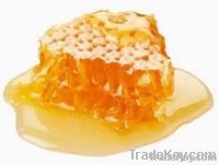 Organic Forest Honey