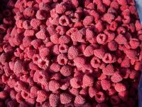 Frozen Raspberry