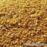 Soybean Meal