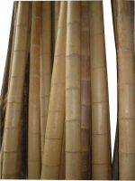Hight quality and low price bamboo poles