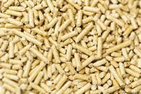 100% beech wood pellets for sell