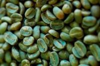 Himalayan Arabica Coffee Green Beans