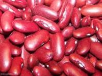 KIDNEY BEANS | COCOA POWDER | CHICKPEAS | RED BEANS | COCOA BEANS
