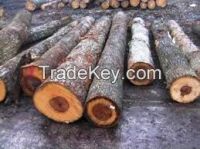 Timber Logs and Sawn Timber