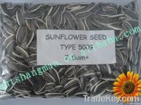 pumpkin seeds sunflower seeds