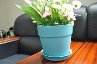 Cheap Durable Indoor Flower Pots