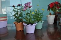 Cheap Durable Indoor Flower Pots