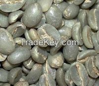 Arabica Coffee beans, Common