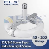 40W 60W 80W 100W 120W 150W 200W E27/E40 screwed design Induction Lamp Round Tube Light Source