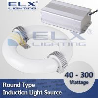 40W 60W 80W 100W 120W 150W 200W 250W 300W Induction Lamp Round Tube Light Source