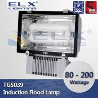 ELX Lighting IP66 Germany aluminum miro5 reflector 5mm ultra-white tempered glass illuminating surface 80-200W flood light
