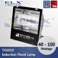 ELX Lighting IP65 Germany aluminum Miro5 reflector 5mm ultra-white tempered glass illuminating surface 40-150W flood light