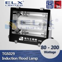 Flood light