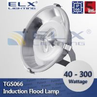 flood light IP66 heat resistant vacuum reflector 5mm ultra-white tempered glass illuminating surface 40-300W
