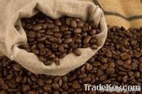 Arabica Coffee