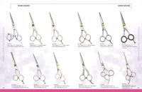 Professional Hair Dressing Scissor