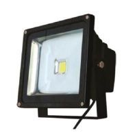 LED Edison Flood Light - 10W, 20W, 30W, 50W & 100W