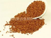 https://fr.tradekey.com/product_view/Chinese-Sorghum-5954246.html