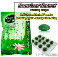 0153 Lotus leaf botanical fast slimming capsules