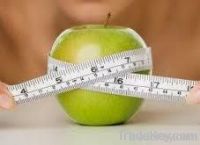 2012 lose weight rapidly, workable weight loss capsules