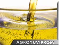 Sunflower Oil in bulk from Ukraine 2013