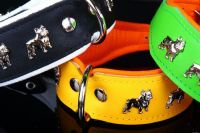 Leather Collar French Bulldog, Halsband