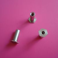 Non-standard precision rivet bolt and standoffs