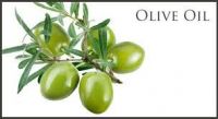 EDIBLE OLIVE OIL