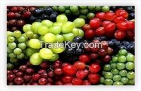 Fresh Seedless Grapes